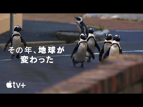 予告編（字幕）