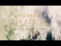 sigur rós: tónandi liminal [Full Album Stream]