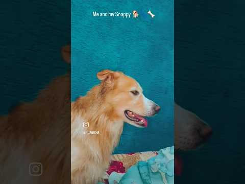 “If only you knew how much I miss you, my furry little heartbeat.”🐕🦴🐾❤️ #heartbeatlove #tinyhearts