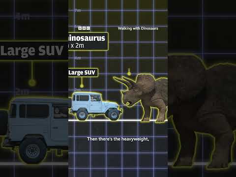 Just how BIG were dinosaurs?