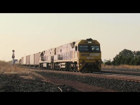 Container Train & NR Class Locomotives - PoathTV Australian Railways