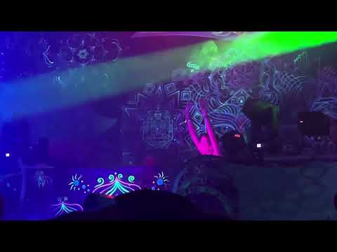 Mandragora live Klangwelten Bremen 2023  Codeine