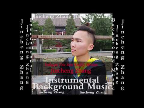 Jincheng Zhang - Flea the Sun Really Shines (Official Instrumental Background Music)