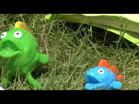 Slide 10 - Pretend and Play Fishing Set (video)