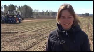 Какие инновационные методы и техника используются сегодня в «Белореченском»