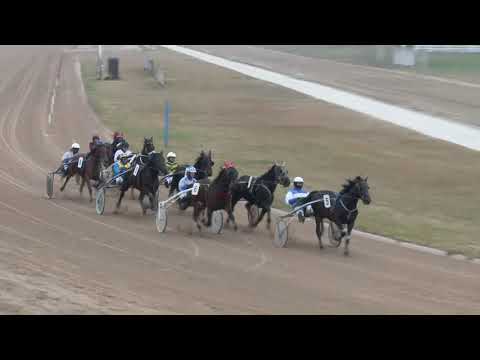 2017.12.26. 1. futam - VAMBA DÍJ