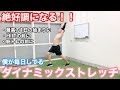 【今日も絶好調】ダイナミックストレッチ!!朝起きて、集中したい時、疲れた時、HIITの前、筋トレ前におすすめ!!