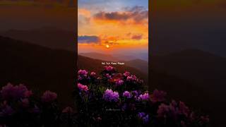 Download lagu Zindagi Bewafa Hai Ye Mana Magar ๐โจ || WhatsApp Status || #lyrics #shorts #viral mp3 Download lagu Zindagi Bewafa Hai Ye Mana Magar ๐โจ || WhatsApp Status || #lyrics #shorts #viral mp3