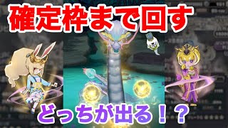 スノーラビィ卞氏&キャトリーヌ張春華登場！天星確定枠まで回します！【妖怪三国志国盗りウォーズ】