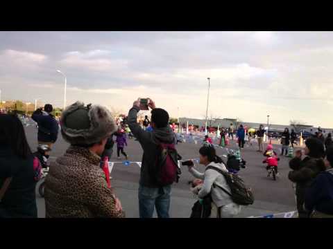 20151128 SUZUKA S-1 GP 障害物 5歳決勝 IR