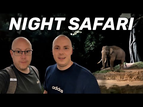 Night Safari Singapore Vlog - Our Evening At The World's First Nocturnal Zoo! 🇸🇬