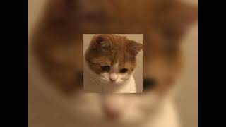 Download lagu aku yang jatuh cinta - Dudy Oris (speed up) mp3