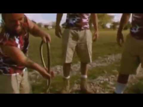 Snake Safari Dudes (Wildboyz in Kenya)