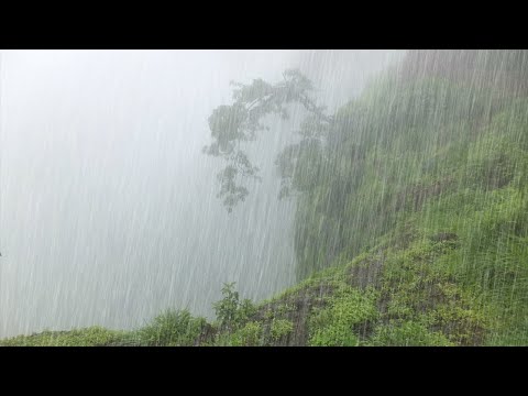 Relaxing Rain in the Misty Forest to Fall Asleep Instantly in 5 Minutes with Thunder Sounds