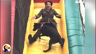 Dogs and Slides
