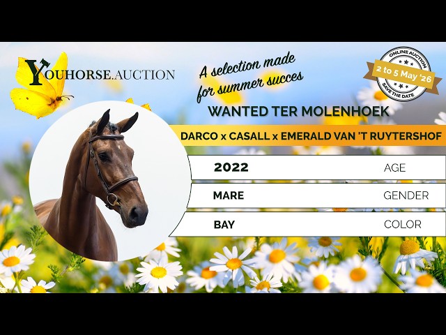 Wanted ter Molenhoek