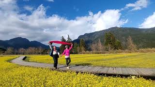 2024 2 29武陵農場露營區油菜花田