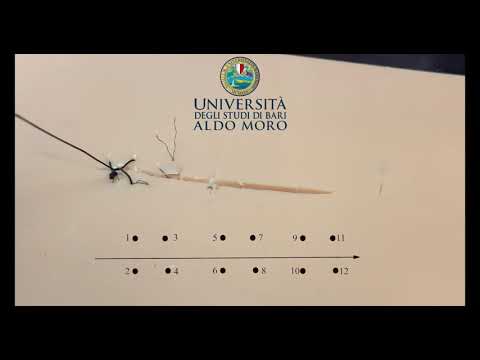 sutura continua bloccata