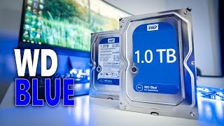 Video thumbnail for Why are WD Blue HDD's so popular? Western Digital Blue 1TB Review by ECPU