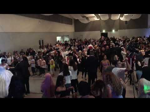 Grup Babacanlar "Erik Dalı"