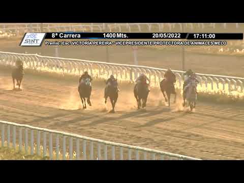 HIPODROMO SINT MELO - 220520 c08 1° PRINCESA CARIOCA