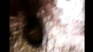 Winners - Desert Sessions