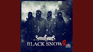 Black Snow 2 (feat. Apathy, Sicknature, Celph Titled &amp; Ill Bill)