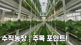 "수직농장: 혁신적인 농업 방식 주목 포인트!"