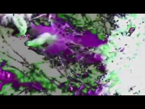 Askal is in da House / Veleno