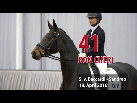 41 Bon Cheri Stute v. Baccardi - Sandreo