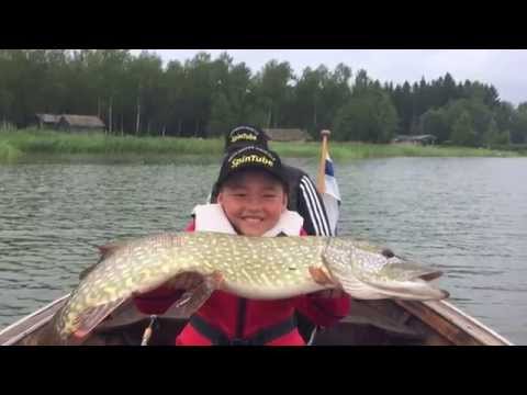 Kalakingi - Pikkupojat nappaavat ison hauen - Eumer - Spintube