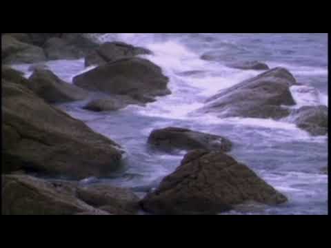 A DAY WITHOUT RAIN (Official Video) - Enya
