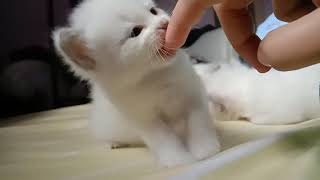 Download lagu You're my honey mp3 Download lagu You're my honey mp3