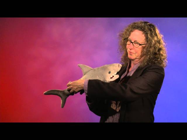 Video teaser for Folkmanis® Shark Puppet Demo