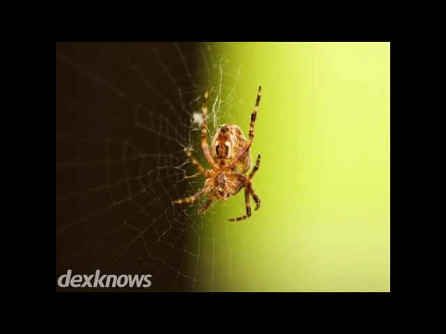 A-Plus Pest Control - Creston, OH