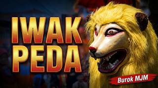 Download lagu Iwak Peda - Burok Mjm Live Cieurih [19-11-2018] mp3