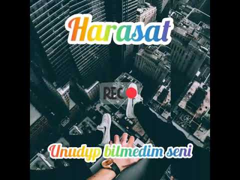 Harasat - Unudyp bilmedim seni 💔