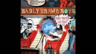 Badly Drawn Boy - Have You Fed The Fish?