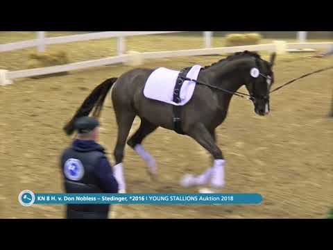 KN 8 v. Don Nobless / Stedinger - Longe