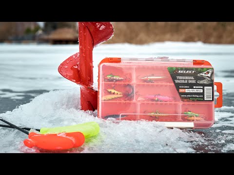 Коробка Select Terminal Tackle Box SLXD-63C 17.5x10.5x2cm - фото 1 - id-p2807721456