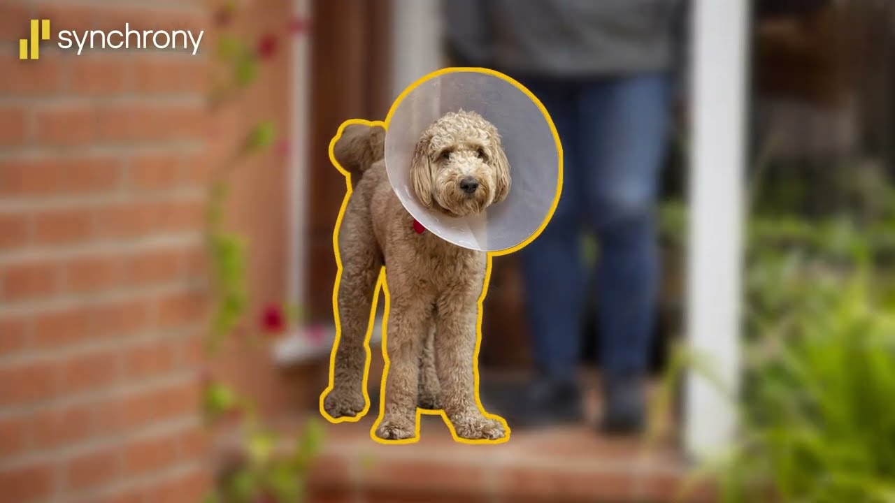 Financing Your Everyday