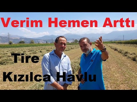 Tire - Yonca Tarlasının  Verimi Nasıl Artar - Yonca Balya İşi Yapandan Dinleyelim