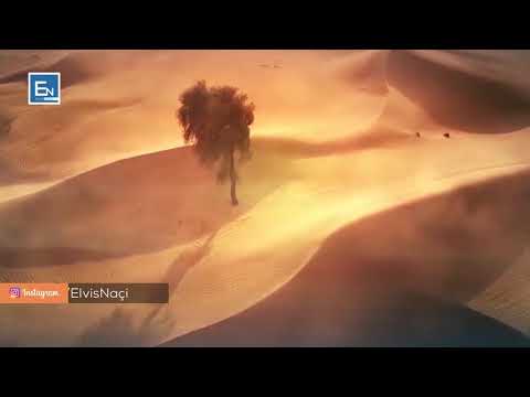 Duke udhetuar me shoket profeti Muhammed a.s ndalet diku ulet dhe qan me lot! Çfarë e beri te qaje?