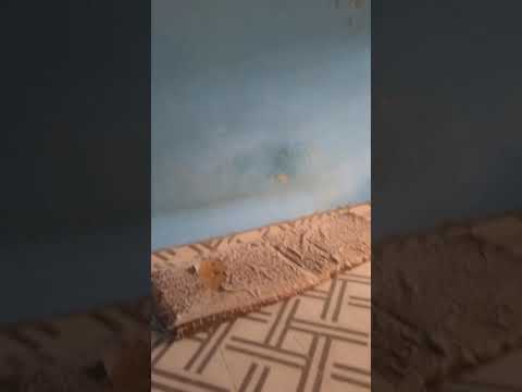 Single Room with Porch for Rent – Fire Service Area, Techiman