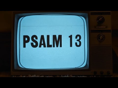 Psalm 13 // Metal Cover