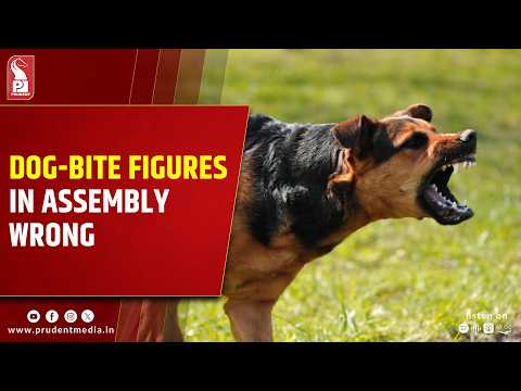 Goa Animal Federation Questions Government’s Dog-Bite Figures in Assembly
