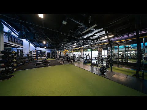 Flex Fitness Chartwell | 24/7 Franchise Gym for Sale | Kakapo Business Sales