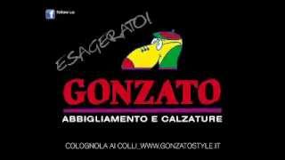 preview picture of video 'Gonzato abbigliamento e calzature ESAGERATO !'
