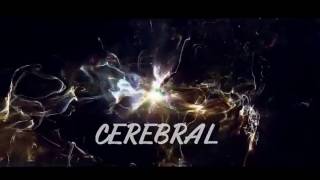 Preston - CEREBRAL (Paroles)