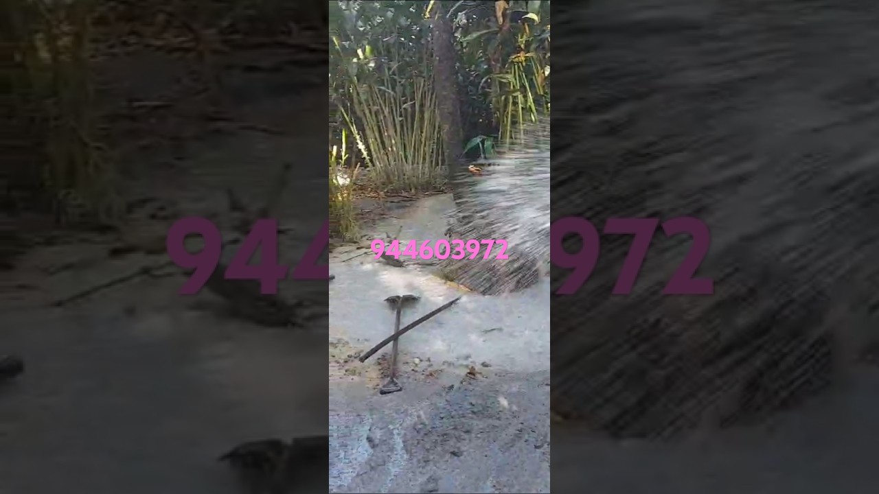 Water Flow Detection